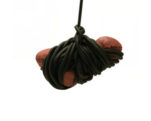 a3