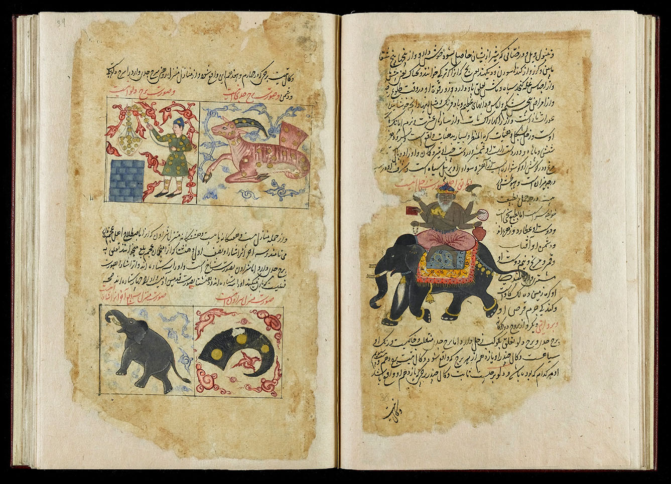 sr_mg_elephant-05